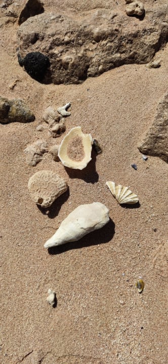 Strand LABRANDA Club Makadi