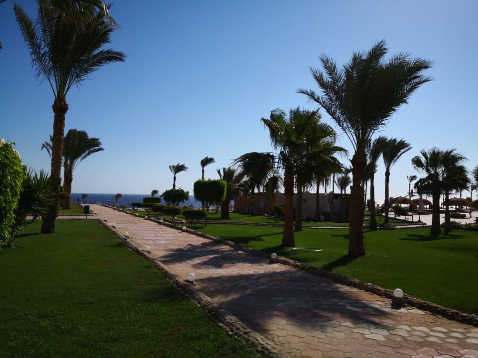 Gartenanlage Three Corners Sea Beach Resort