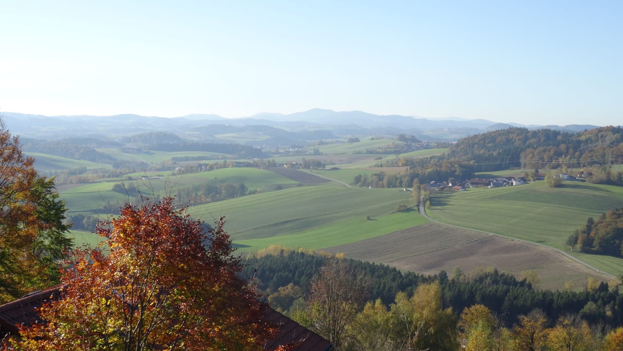 Ausblick Roomingtons Karoli Waldkirchen