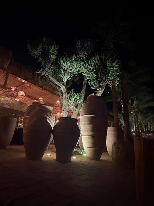 Gartenanlage Fort Arabesque Resort, Spa & Villas