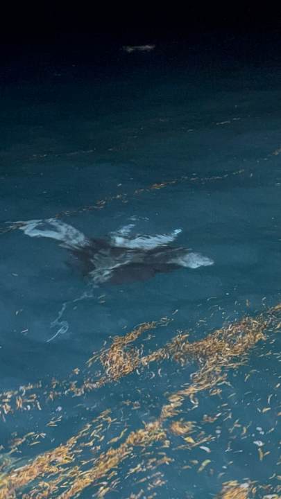 Strand Sun Siyam Olhuveli