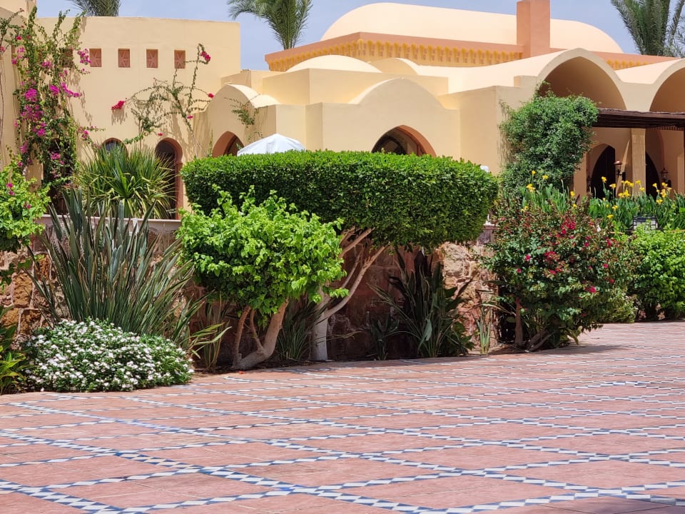 Gartenanlage Steigenberger Coraya Beach - Adults only