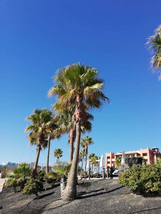 Gartenanlage H10 Tindaya