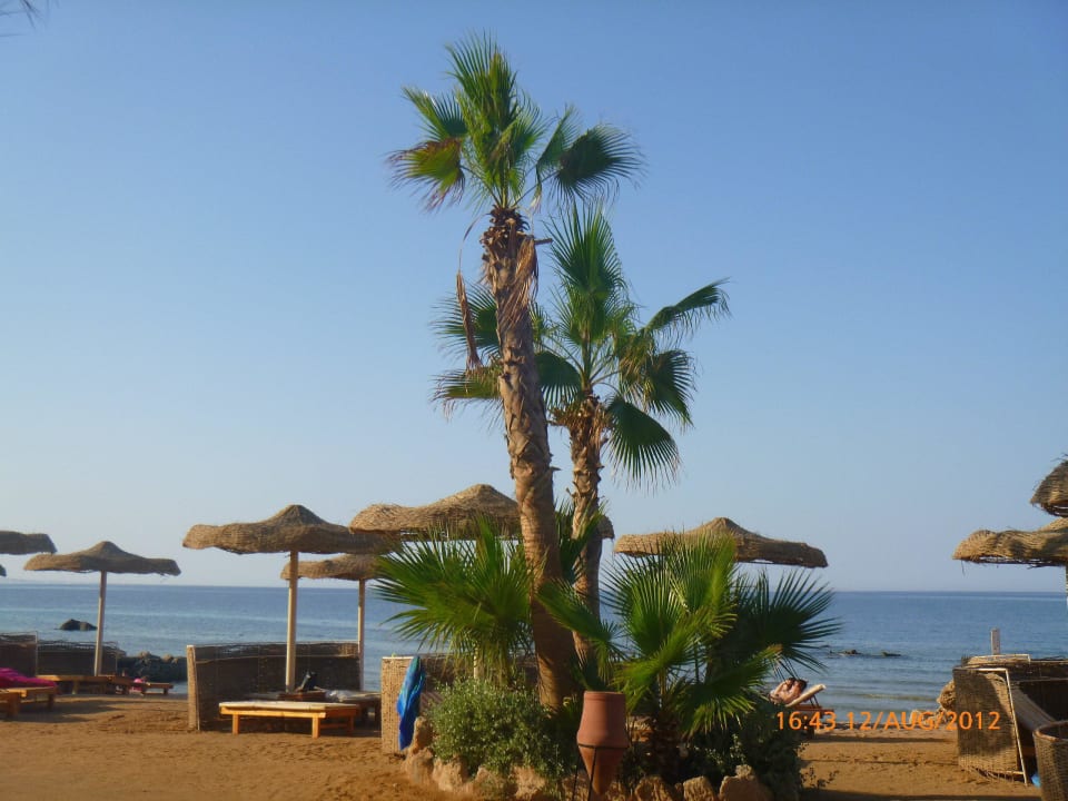 Strand Pickalbatros Citadel Resort