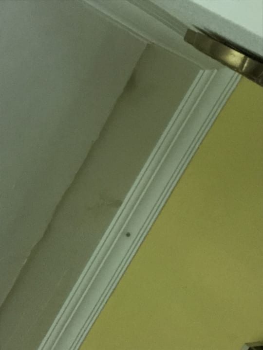 Zimmer Club Hotel Anjeliq