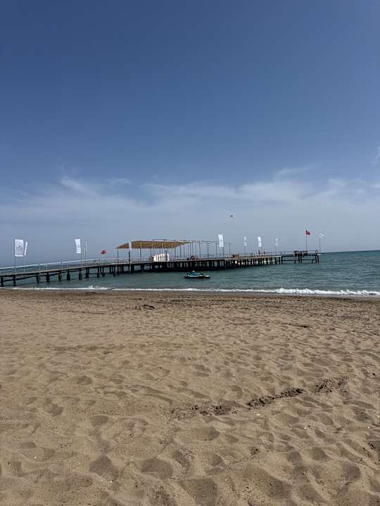 Strand Papillon Ayscha