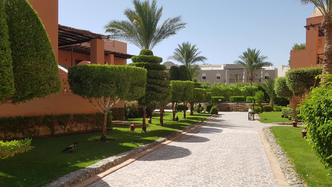 Gartenanlage Jaz Makadi Oasis Resort