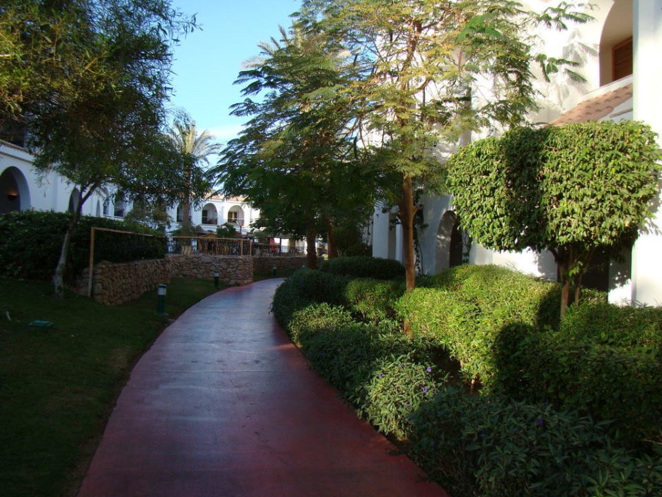 Сад Savoy Sharm El Sheikh