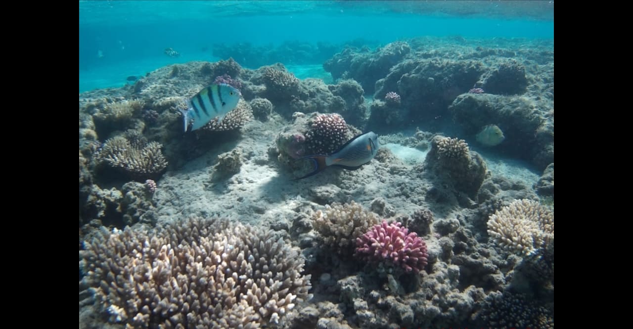 Sport & Freizeit Premier Le Reve Hotel & Spa