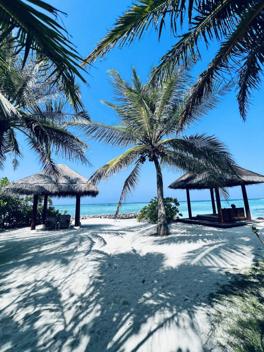 Strand Summer Island Maldives