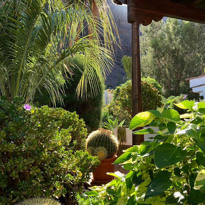 Gartenanlage Casa Rural Palomar