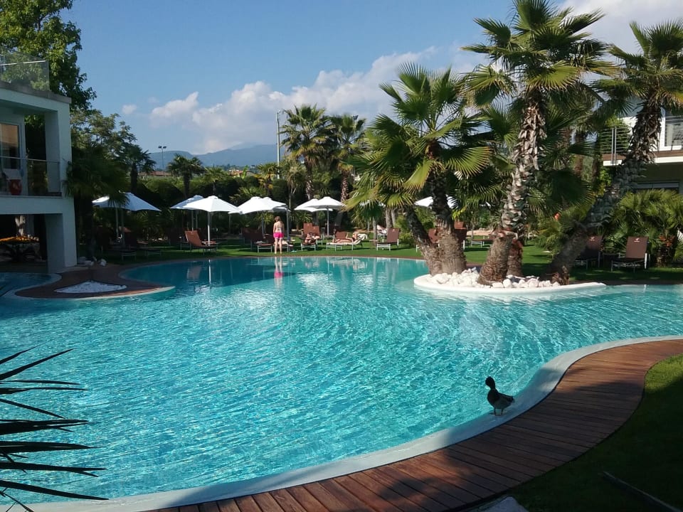 Pool mit Ente Color Hotel