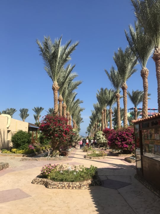 Ausblick Riviera Aqua Park Resort