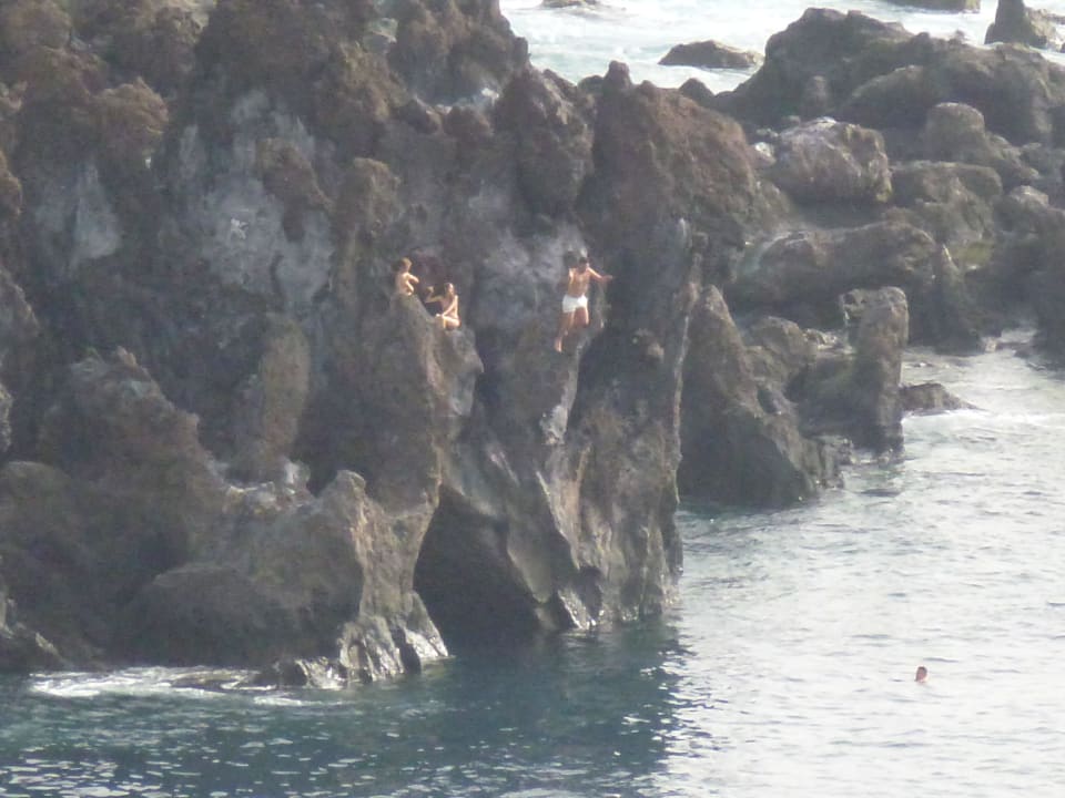 Klippenspringer Landmar Playa La Arena