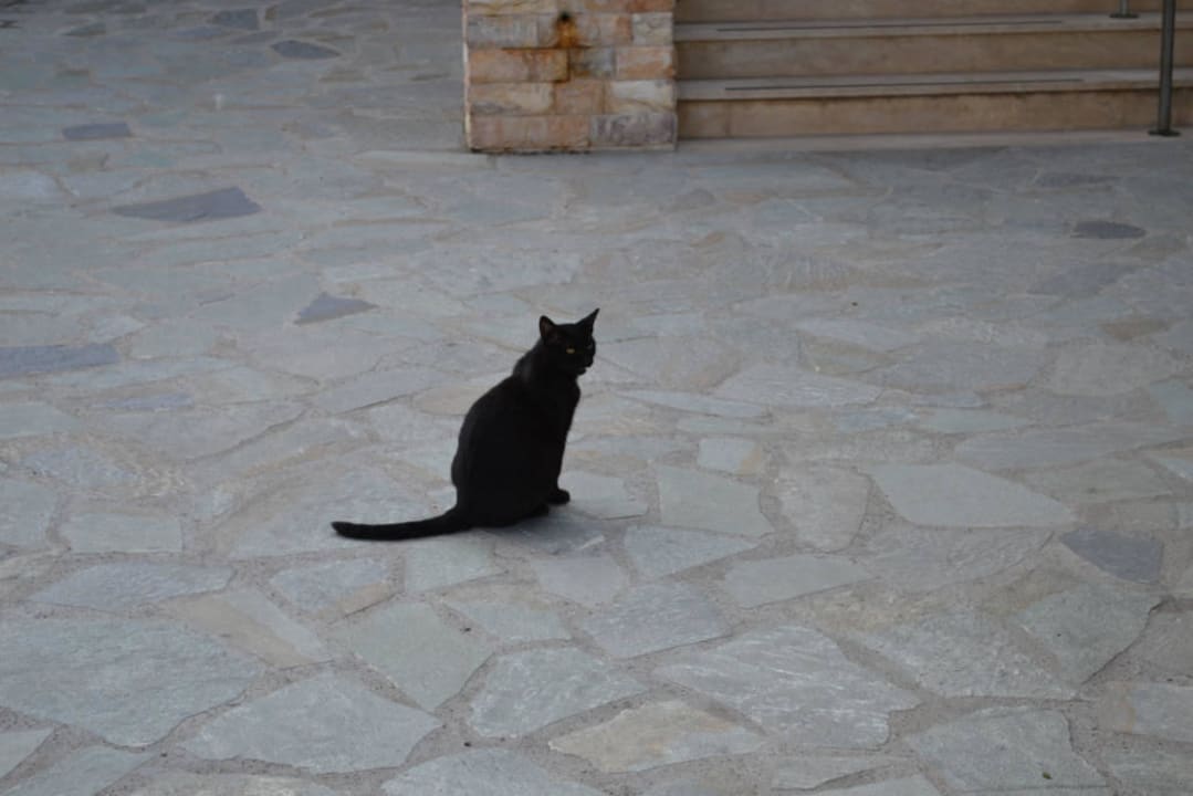 Kot Hotel Kalithea Horizon Royal