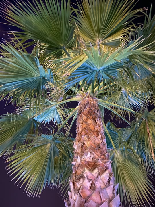 Sonstiges Dream World Aqua Hotel