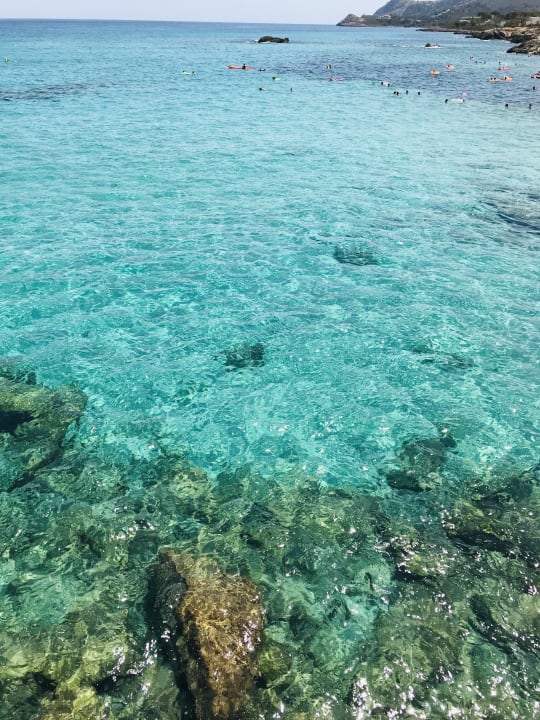 Zimmer Son Moll Sentits Hotel & Spa