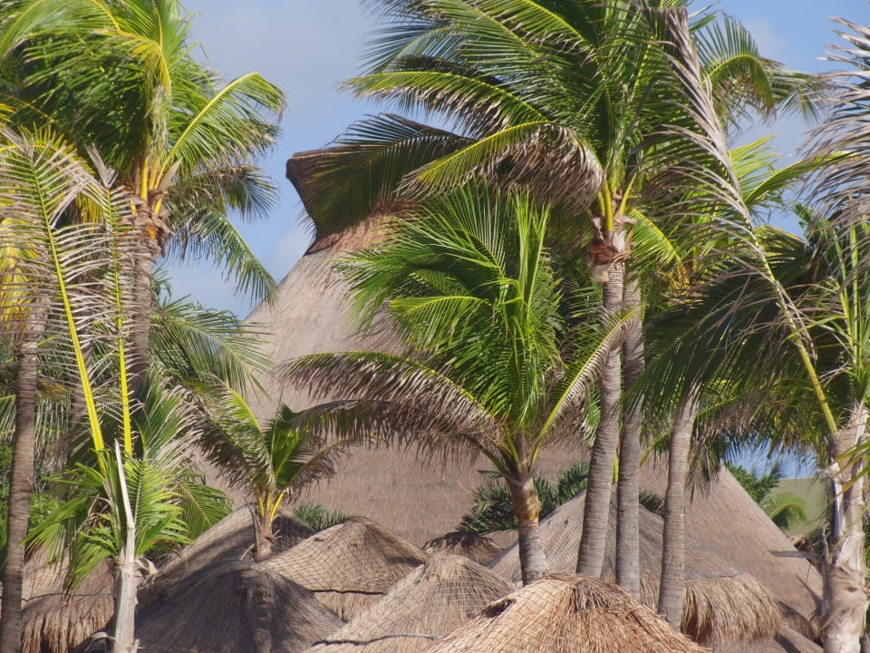 Cenote Viva Azteca by Wyndham - All Inclusive Resort