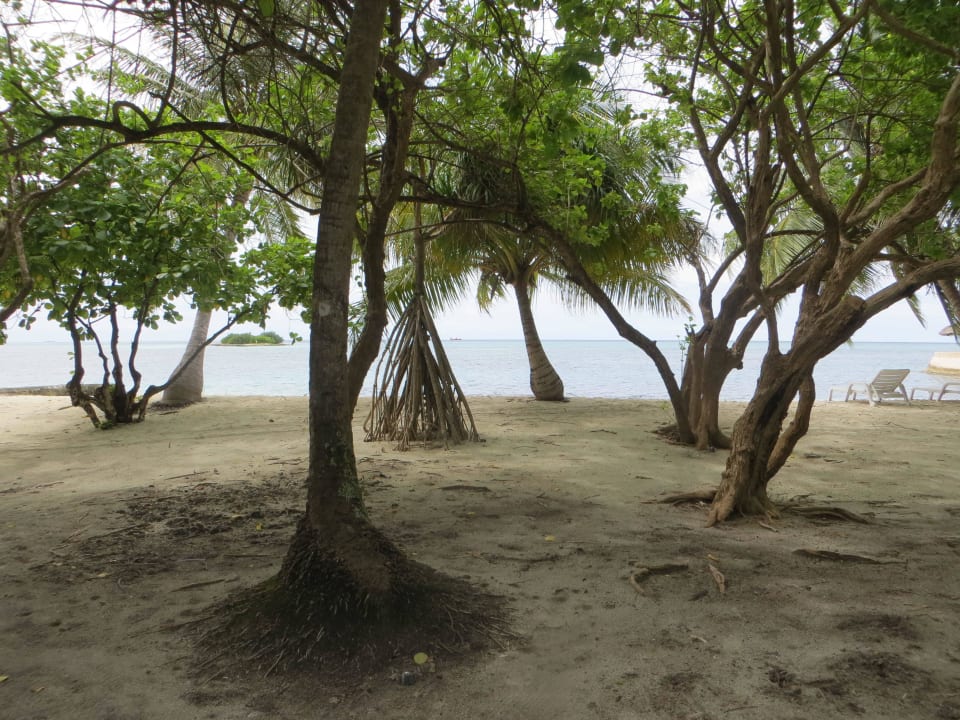 Spaziergang am Strand und den Beachvillen Adaaran Select Hudhuran Fushi - Premium All Inclusive