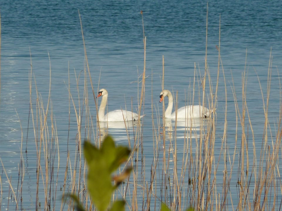 Gäste vom See Camping San Nicolò