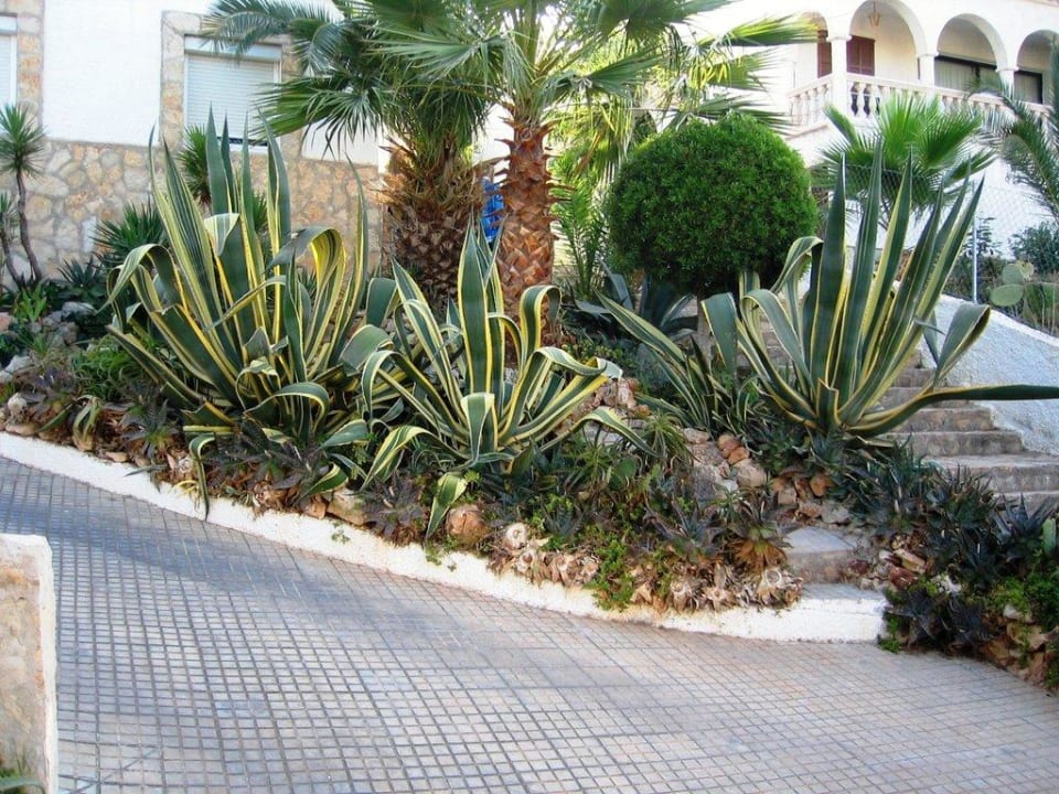 Anlage Flipflop Cala Romantica