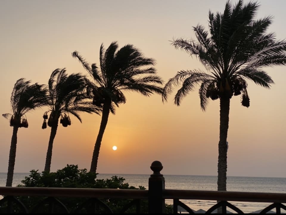 Ausblick Makadi Spa - Adults only