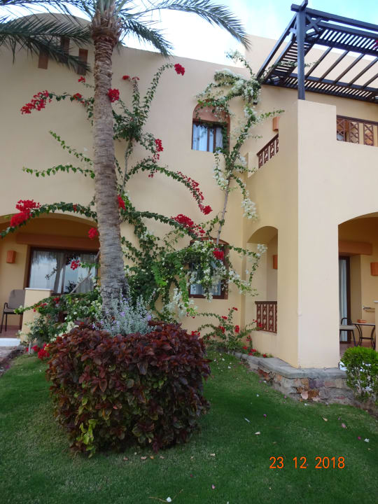 Gartenanlage Steigenberger Coraya Beach - Adults only