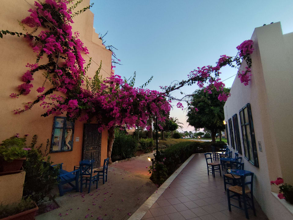 Außenansicht Anissa Beach & Village