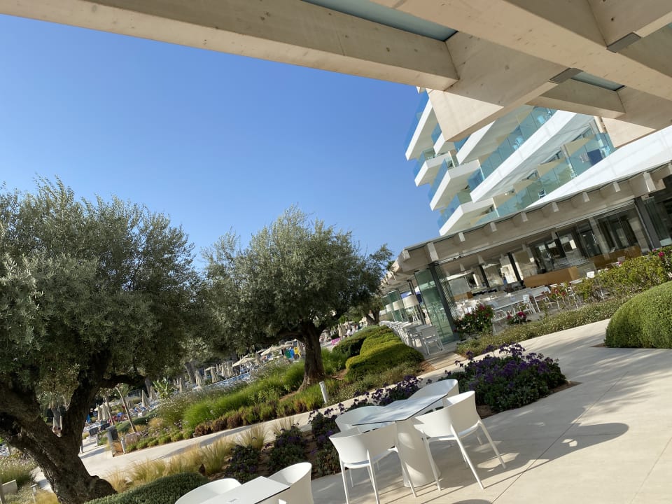 Gartenanlage Hipotels Gran Playa De Palma