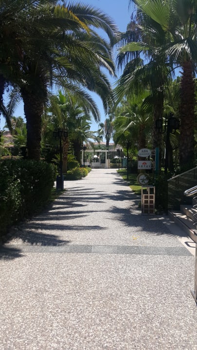 Weg zum Restaurant Paloma Oceana