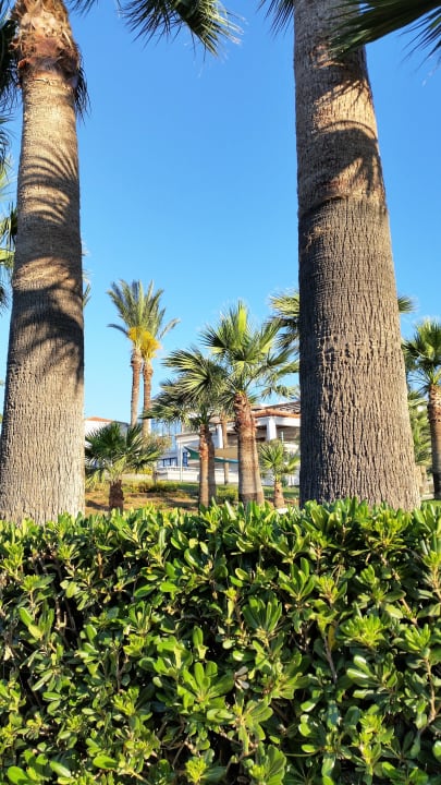 Gartenanlage Rodos Princess Beach Hotel & Spa