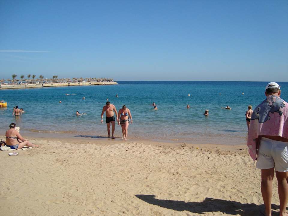 Пляж, море Beach Albatros Resort