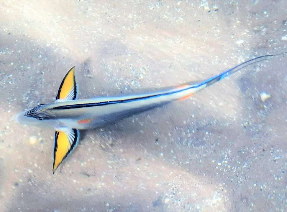 Sonstiges Cleopatra Luxury Resort Makadi Bay