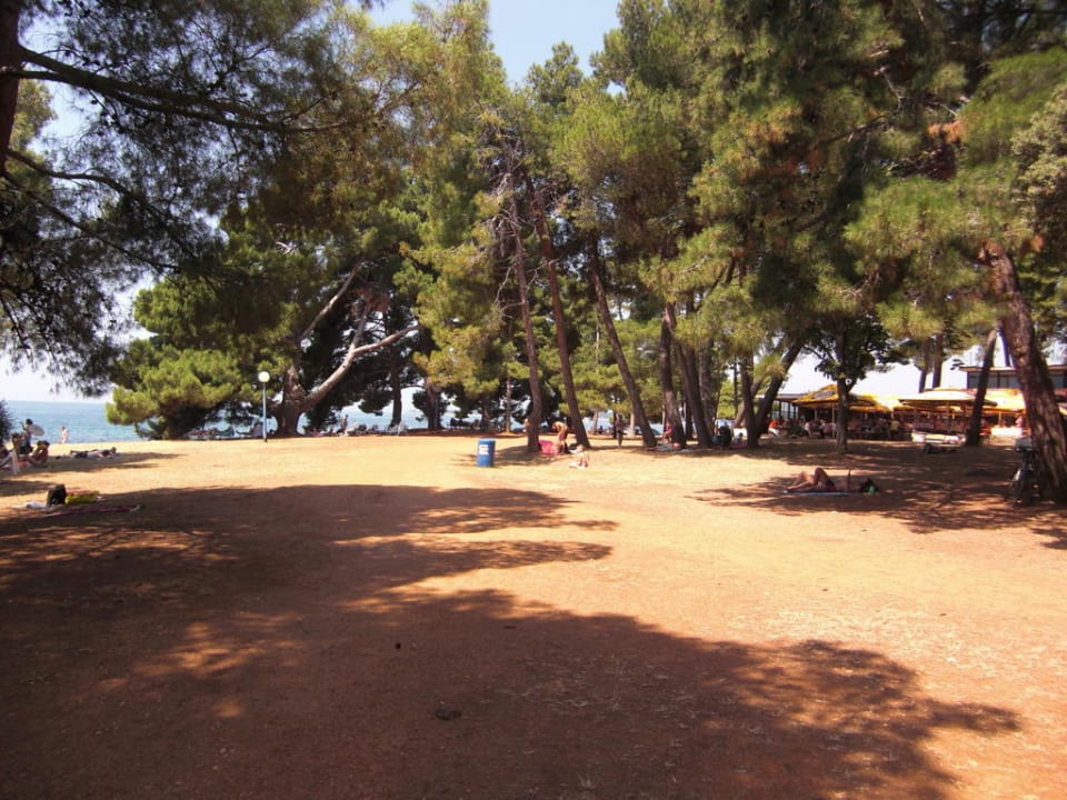 Hotelstrand Valamar Parentino Hotel