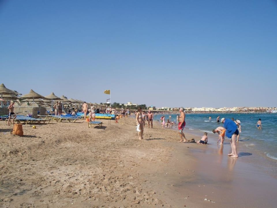 Schön Schrecklich! Jaz Makadi Oasis Resort