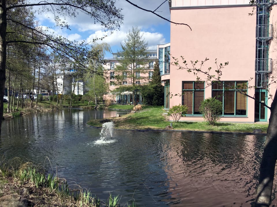 Teich hinter dem Hotel ACHAT Hotel Magdeburg