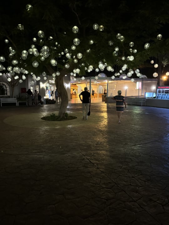 Außenansicht Desert Rose