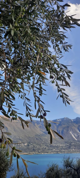 Ausblick Hotel Mercedes