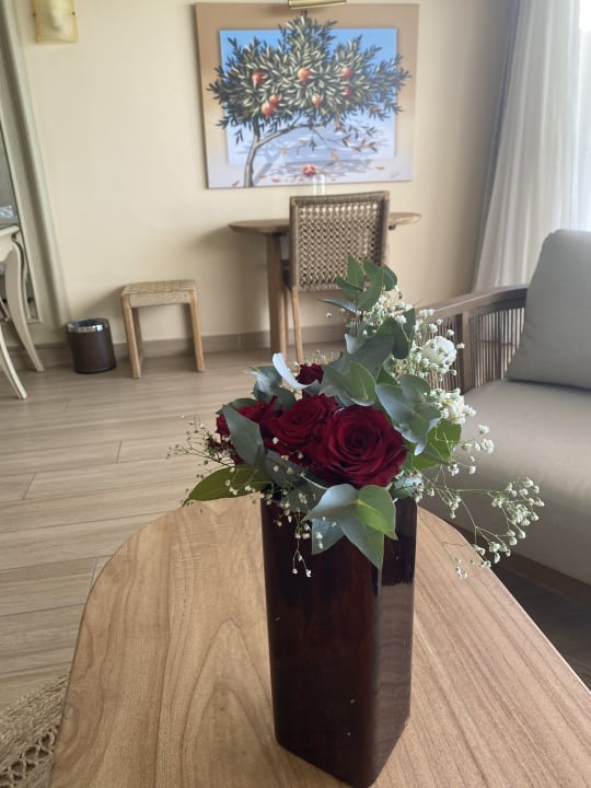 Zimmer Atrium Prestige Thalasso Spa Resort & Villas