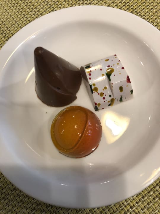 Gastro Acanthus Cennet Barut Collection