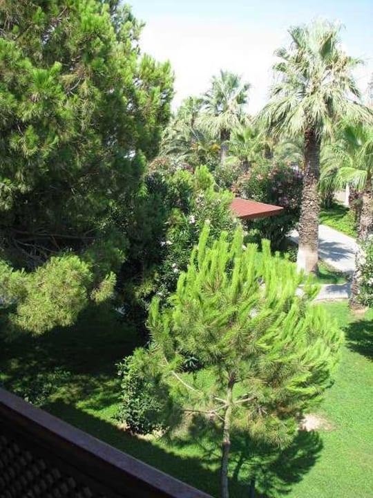 Blick vom Zimmer Ali Bey Club