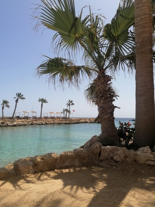 Strand Pickalbatros Citadel Resort