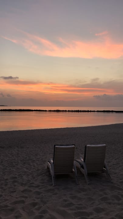 Strand Summer Island Maldives
