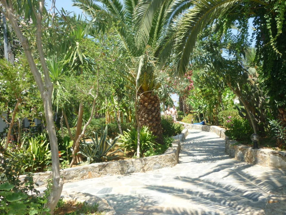 Wünderschöner Garten HARPIN Happy Days Beach Hotel