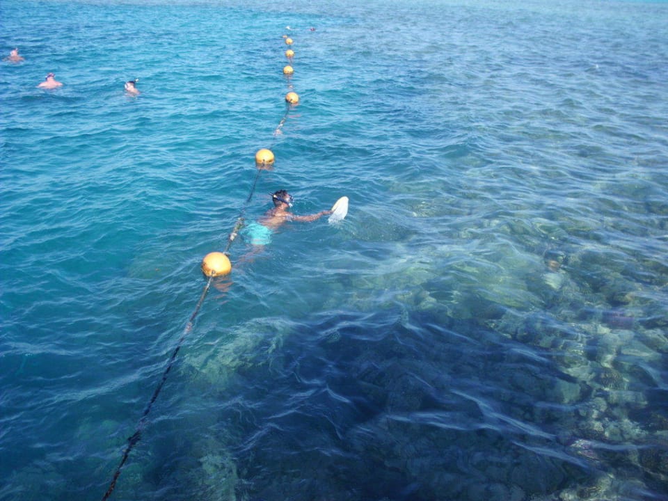 Immer am arbeiten Stella Beach Resort & Spa Makadi Bay