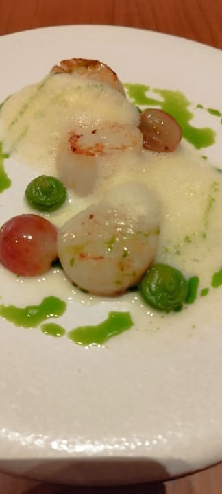 Gastro Acanthus Cennet Barut Collection