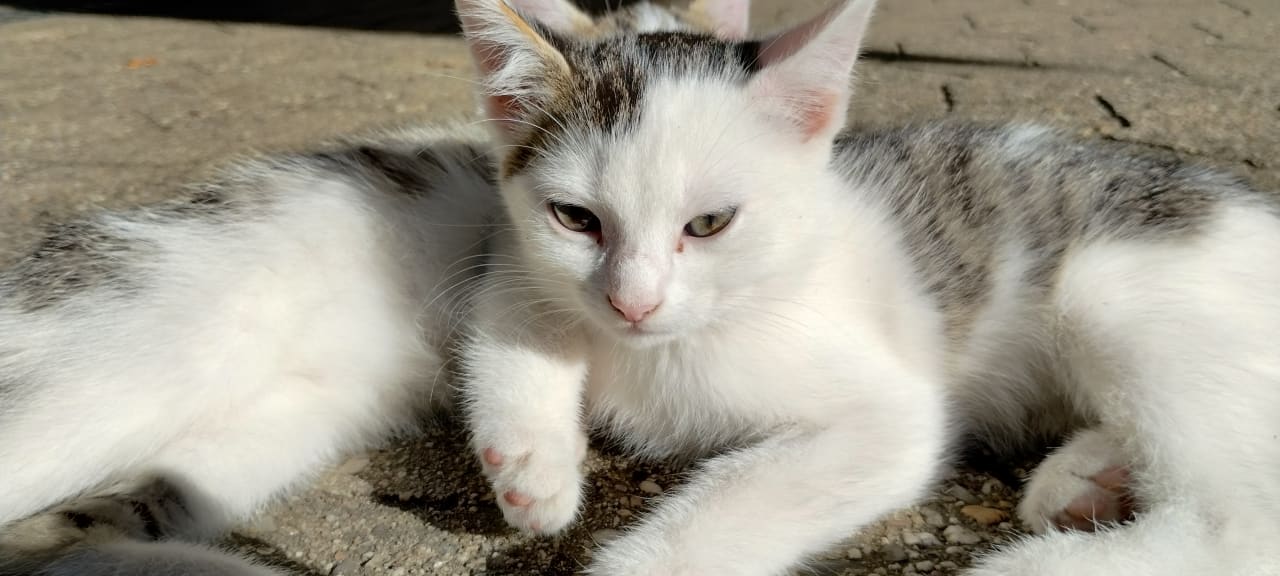 Sonstiges Ferienhof Grieshof