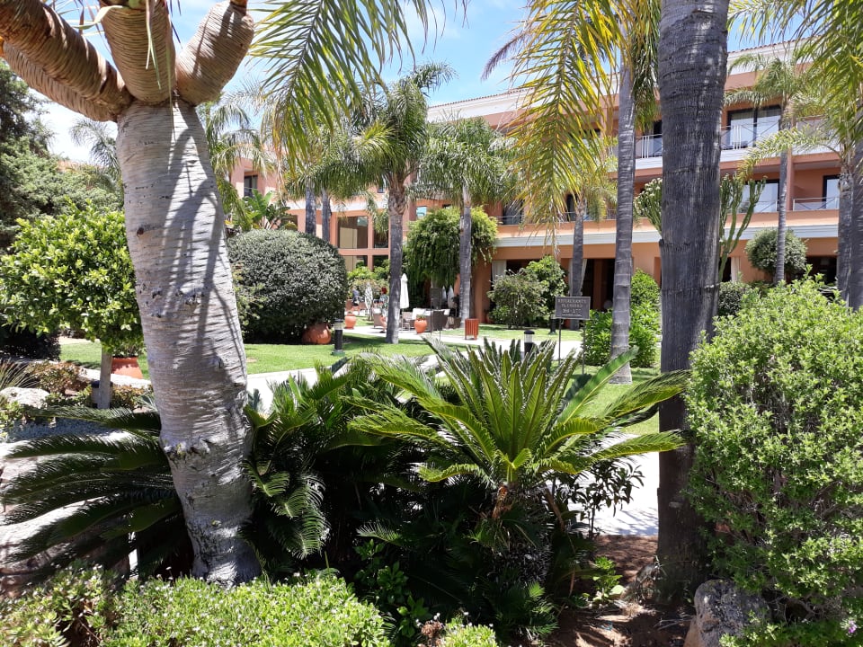 Gartenanlage Hipotels Barrosa Palace