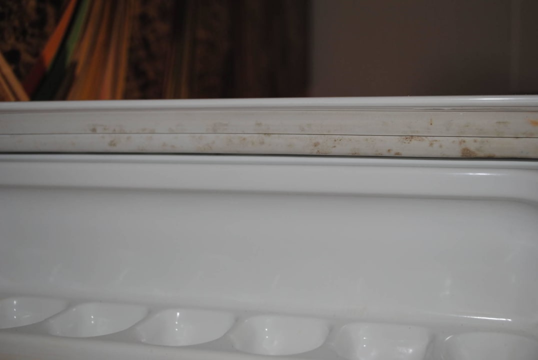 Kühlschrank Relaxia Olivina