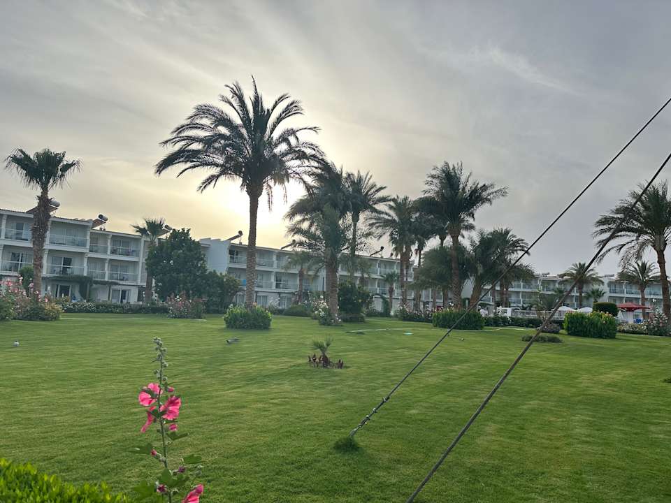 Gartenanlage Amarina Abu Soma Resort & Aquapark
